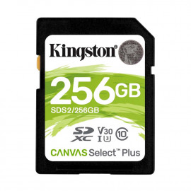 Kingston Flash card SD 256GB Canvas Select Plus (SDS2/256GB) (KINSDS2/256GB)